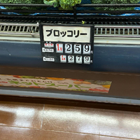 画像388